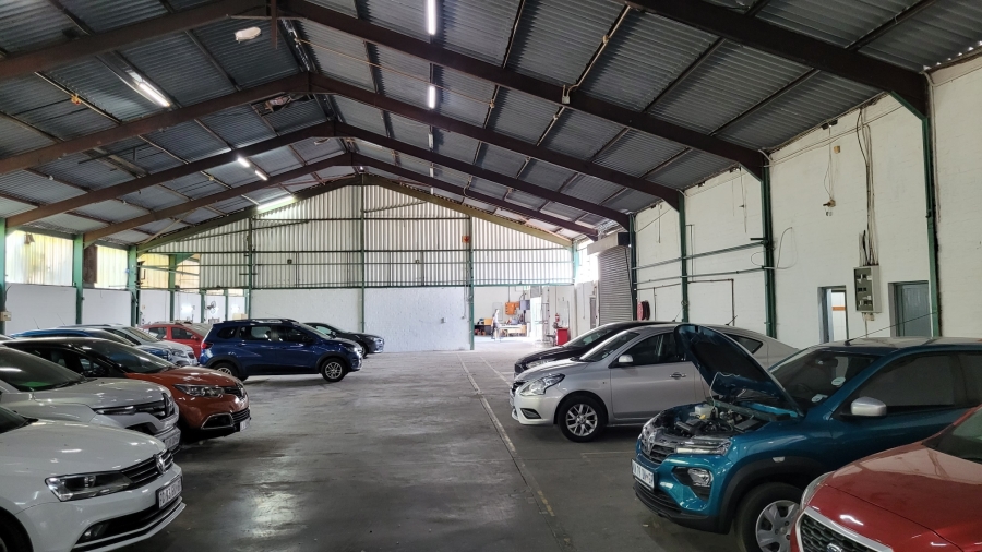 To Let commercial Property for Rent in Stikland Western Cape